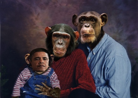 president_obama_monkeys-thumb-480x341.jpg